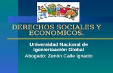 IV.derechos Sociales y Economicos