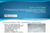 RA-CN300-CCIT (3)