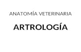 Artrologia y Miologia.ppt