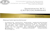 Seminario 1. Catecolaminas. Psicofarmacología.