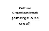 Cultura Organizativa Girona2012