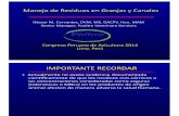 Archivo 19 Presentacion-hector-cervantes (1)
