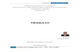 TRABAJO -Amparo Constitucional.docx