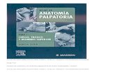 Atlas de Anatomía Palpatoria Tomo 1