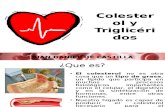 El Colesterol