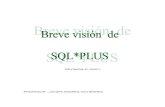 Breve Visión de SQL Revisión 2007