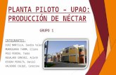 Planta Piloto - Produccion de néctar.pptx