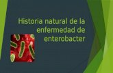 Historia Natural de La Enfermedad de Enterobacter