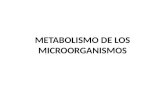 Metabolismo de Los Microorganismos