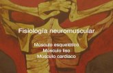 Fisiología Neuromuscular