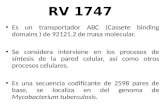 Transportador Rv1747
