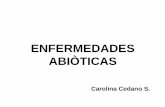 Enfermedades Abióticas (1).pdf