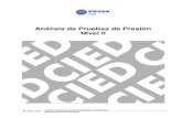 análisis de pruebas de presión-cied pdvsa.pdf