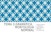 Tema 3. Morfologia Nominal