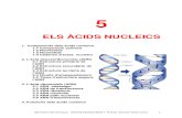 T 5 Acids Nucleics 1112