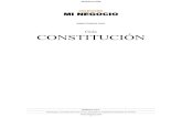 1 Guia Miempresapropia Constitucion
