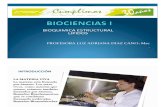 lipidos - Bioquimica Estructural Parte i