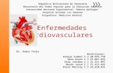 Diapositivas Enfermedades Cardiovasculares