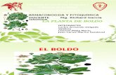 El Boldo Diapositiva Original 1