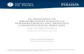 Principio Proporcionalidad Jurisprudencia Tribunal Constitucional Peruano