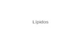 2 - lipidos