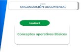 Organización Documental 2
