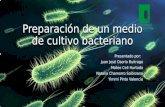 Informe 1 Preparación de Un Medio de Cultivo Bacteriano