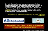 Fisiopatologia de La Insuficiencia Respiratoria Crónica