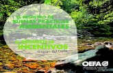 Cartilla El Registro de Buenas Practicas Ambientales y El Regimen de Incentivos a Cargo Del Oefa