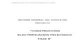 Informe general del avance del proyecto de electrización fase ii pelechuco.docx