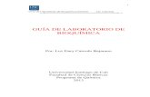 1783422030.Guía de laboratorio de Bioquímica 2013A.pdf