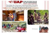 Derecho de Los Pueblos Indigenas
