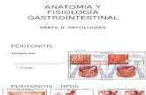 Anatomia y Fisiología Gastorintestinal Parte II