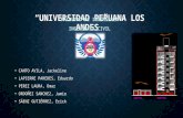 Universidad Peruana Los Andes