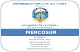 Mercosur v2 (1)