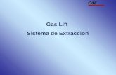 01 Gas Lift CAF 15012008