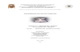 Folder Enfermeria en Salud Familiar 2012 II[1]