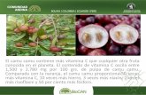 12 Camu Camu - Alejandro García ProNaturaleza-BioCAN