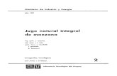 JUGO DE MANZANA.PDF