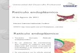 presentacion retículo endoplásmico
