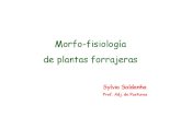 02 - Morfofisiologia 2011.pdf