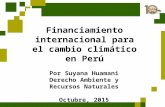 Financiamiento Internacional para CC Perú