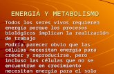 9 b Energia y Metabolismo