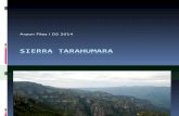 Sierra Tarahumara- México
