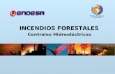 INCENDIOS FORESTALES Centrales Hidroeléctricas. INTRODUCCIÓN.