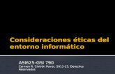 ASI625-GSI 790 Carmen R. Cintrón Ferrer, 2011-13, Derechos Reservados.