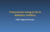 Tratamiento integral de la diabetes mellitus Félix Miguel Puchulu.