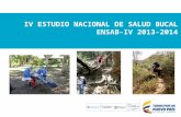 IV ESTUDIO NACIONAL DE SALUD BUCAL ENSAB-IV 2013-2014.