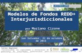 Modelos de Fondos REDD+ Interjurisdiccionales por Mariano Cirone San Salvador, 21 de octubre de 2015 Taller Regional “Fortaleciendo las capacidades y estructuras.