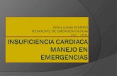 DRA.LILIANA OLMEDO RESIDENTE DE EMERGENTOLOGIA H.C I.P.S.